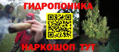 хмурый Малгобек