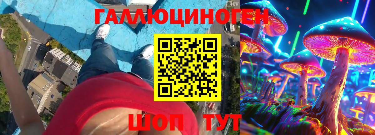 Псилоцибиновые грибы Psilocybine cubensis  наркошоп  Ржев  Вход с VPN 